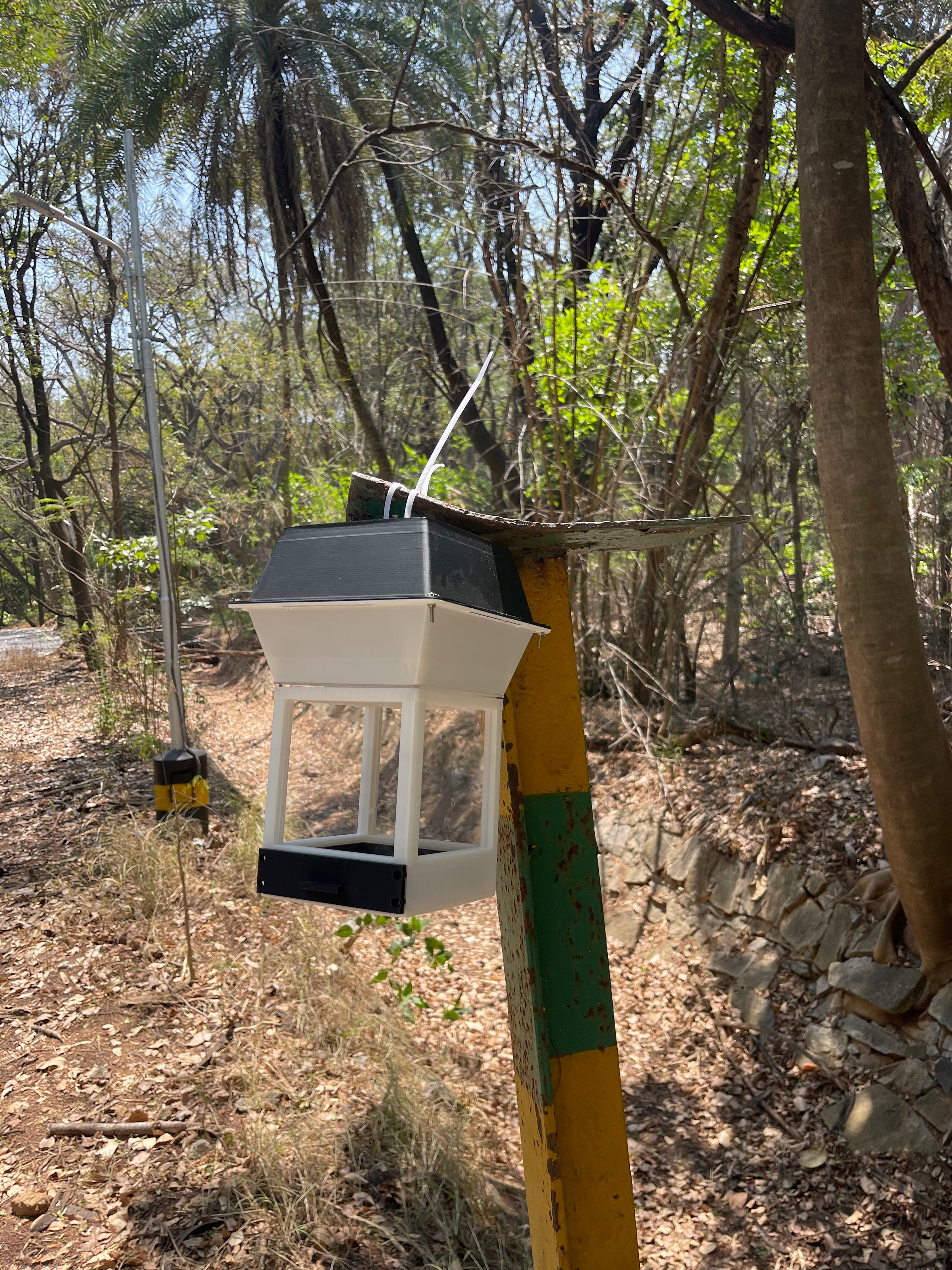 An EntoVision light-trap unit deployed in a wooded field site, mounted on a campus marker post with forest visible behind.